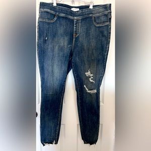 Lane Bryant High-Rise jeggings in a destructed dark wash